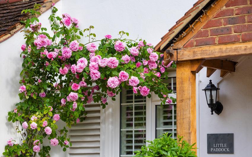 Decorate Your Doorway