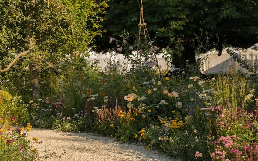 The Archers at 75: Recreating Bridge Farm's Cottage Garden with Jo Thompson
