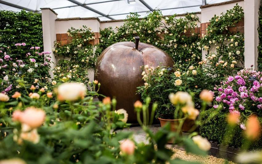 A Wonderful Donation To Roald Dahl’s Marvellous Children’s Charity