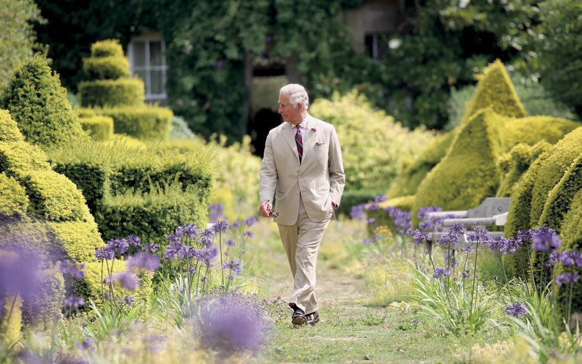 The King’s Rose™ (Ausa27a16): Supporting The King’s Foundation’s Vision for the Future