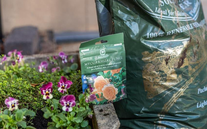 What is David Austin® Mycorrhizal Fungi?