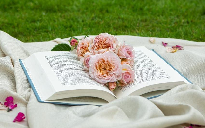 A Love Letter To Roses: The Stories Behind The Blooms