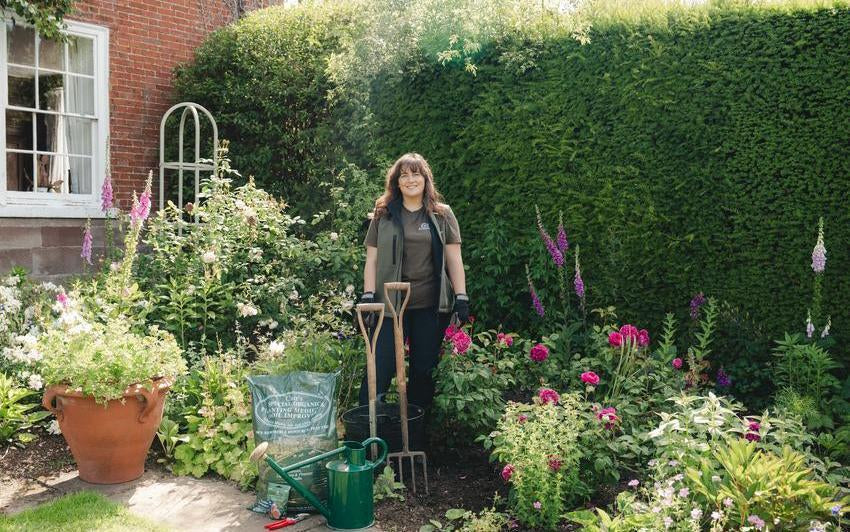 How To Move Your Rose