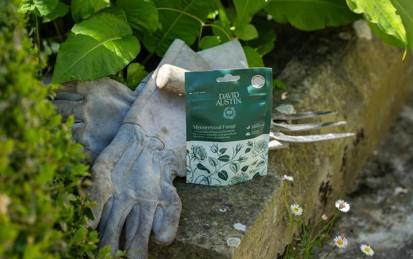 What is David Austin® Mycorrhizal Fungi?