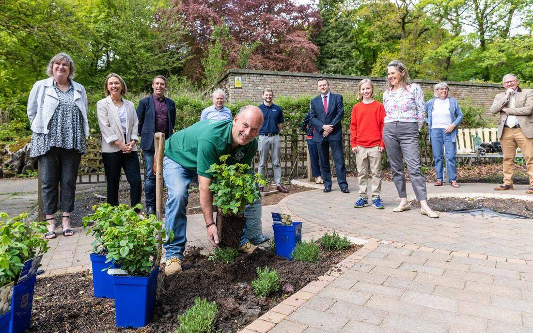 David Austin Roses celebrates the NHS with new release