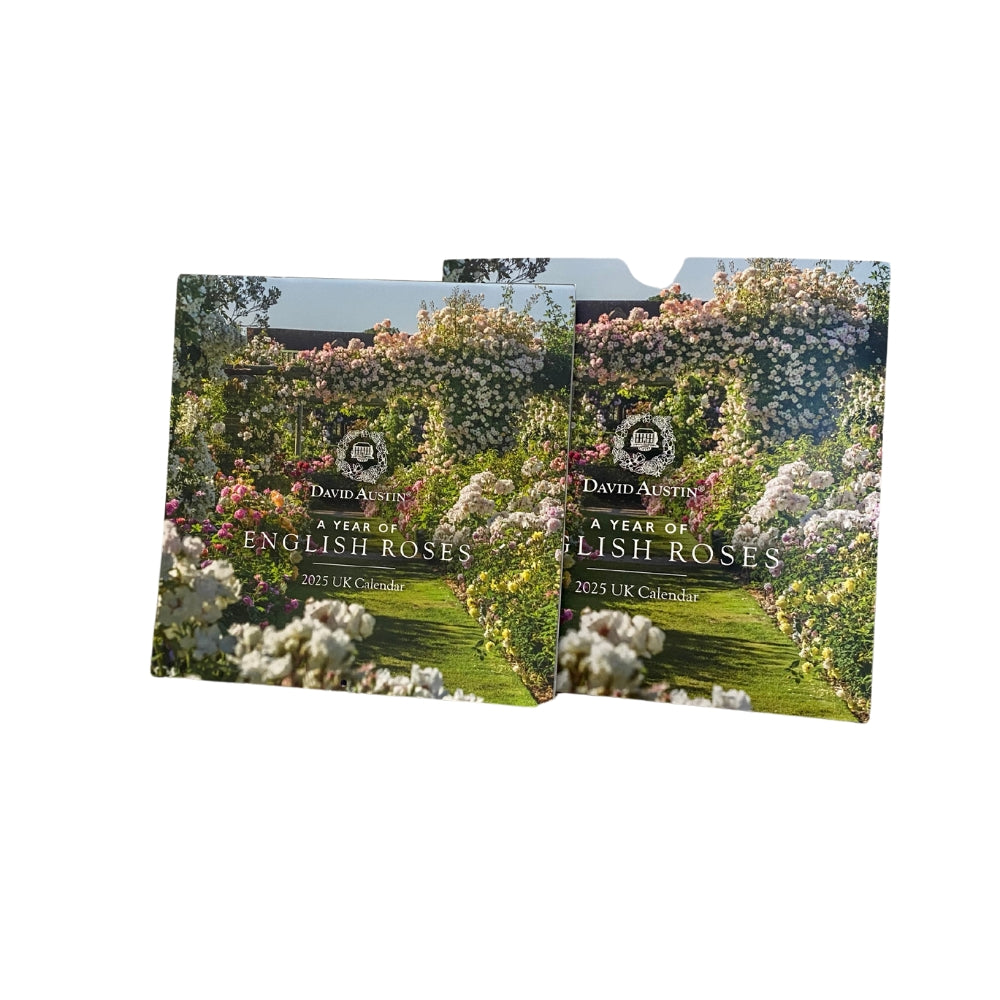 David Austin 2025 Wall Calendar