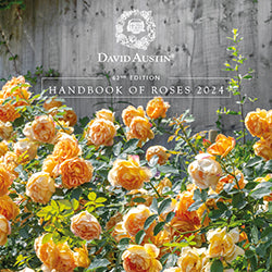 David Austin Roses - 2024 Handbook of Roses Cover