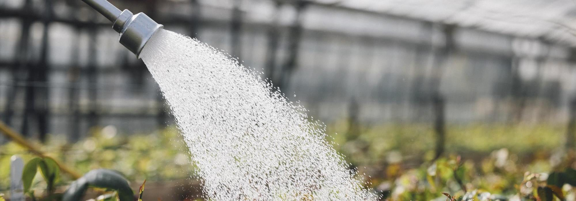 Close up of water coming out of a hose