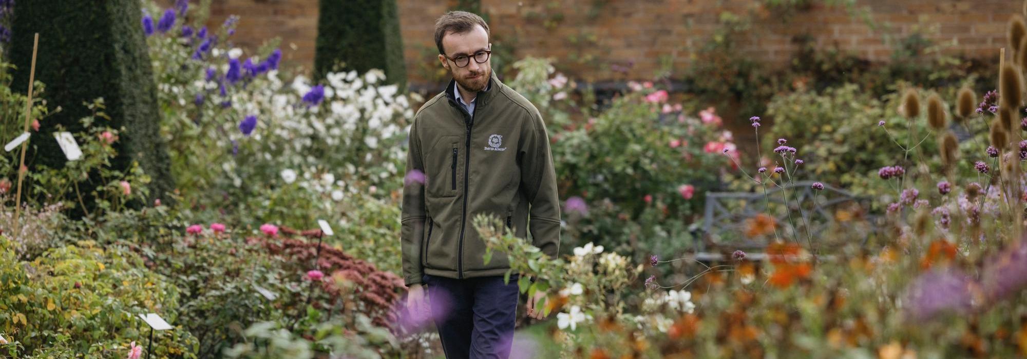 Liam Beddall, Head Rosarian at David Austin®