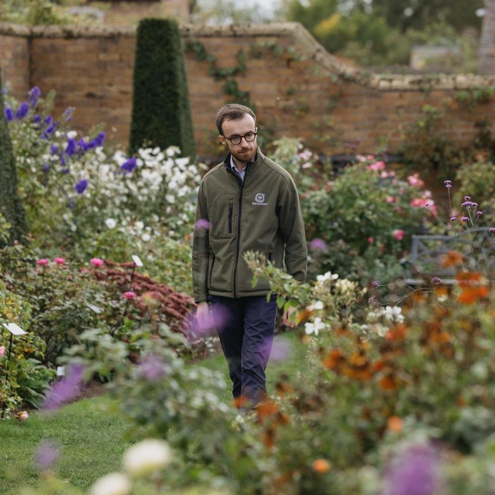Liam Beddall, Head Rosarian at David Austin®