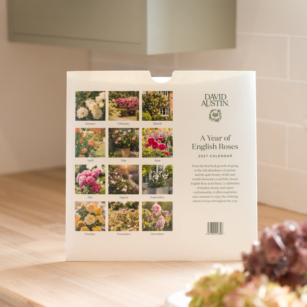 David Austin® 2027 Rose Wall Calendar