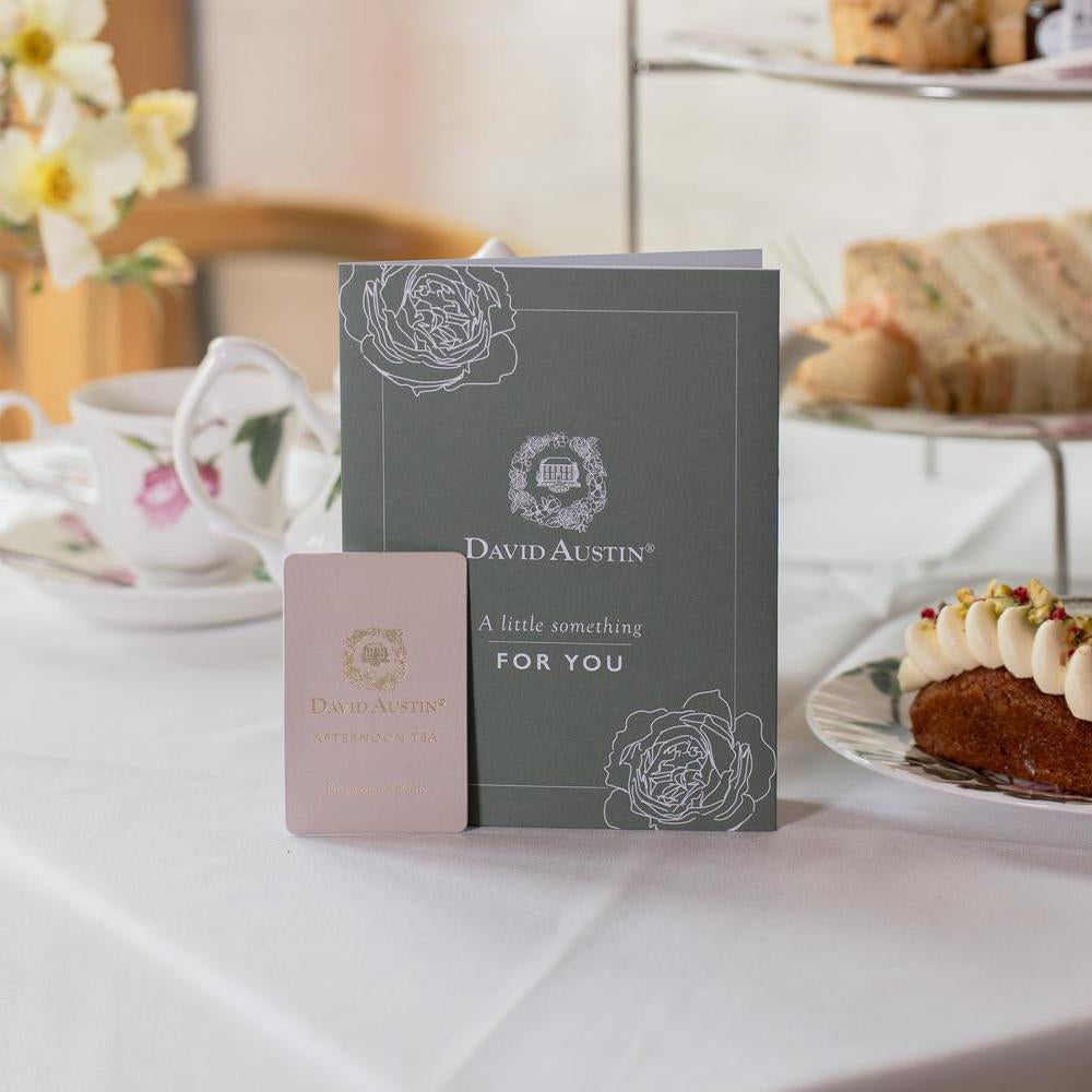 Afternoon Tea Gift Card