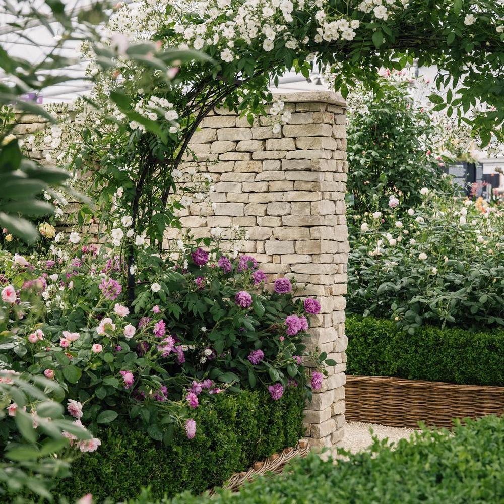 David Austin show stand at RHS Chelsea flower show