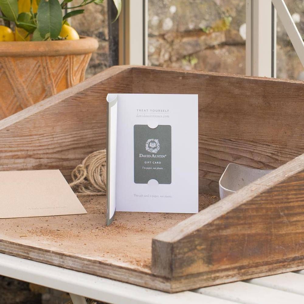 David Austin Roses Gift Card