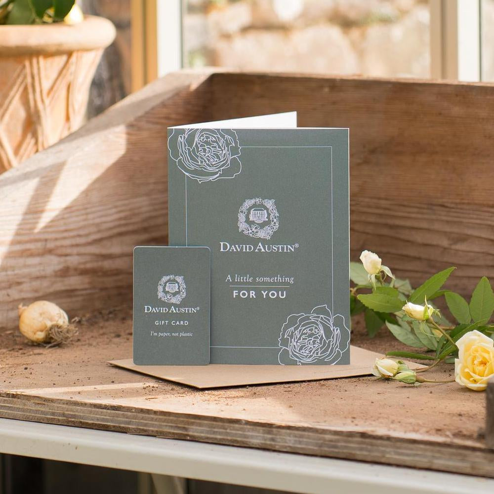 David Austin Roses Gift Card