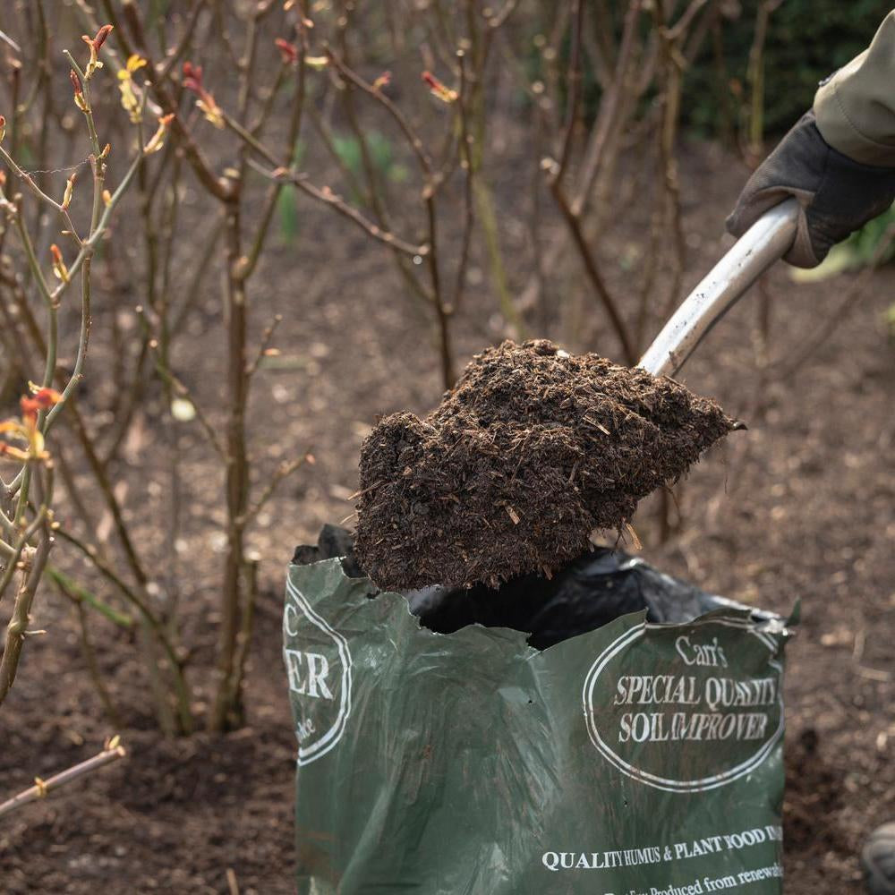 Person holding a spade with soil improver to mulch a rose