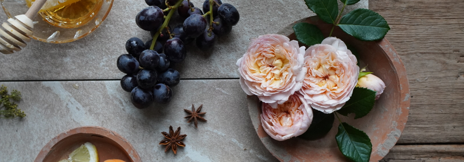 Flat lay image of Emily Bronte, rose bred by David Austin, with visual fragrance notes