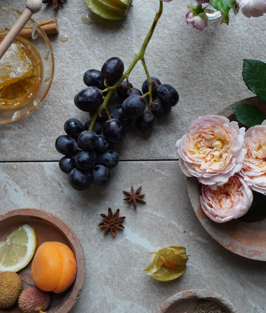 Flat lay image of Emily Bronte, rose bred by David Austin, with visual fragrance notes