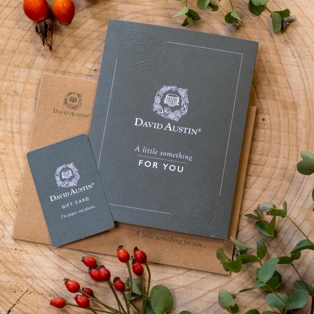 David Austin Roses Gift Card