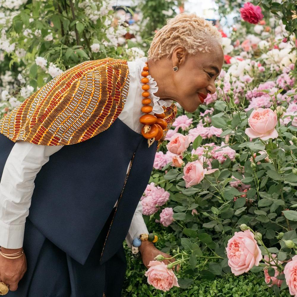 Image of a women smelling a rose, Boscobel, English rose bred by David Austin.
