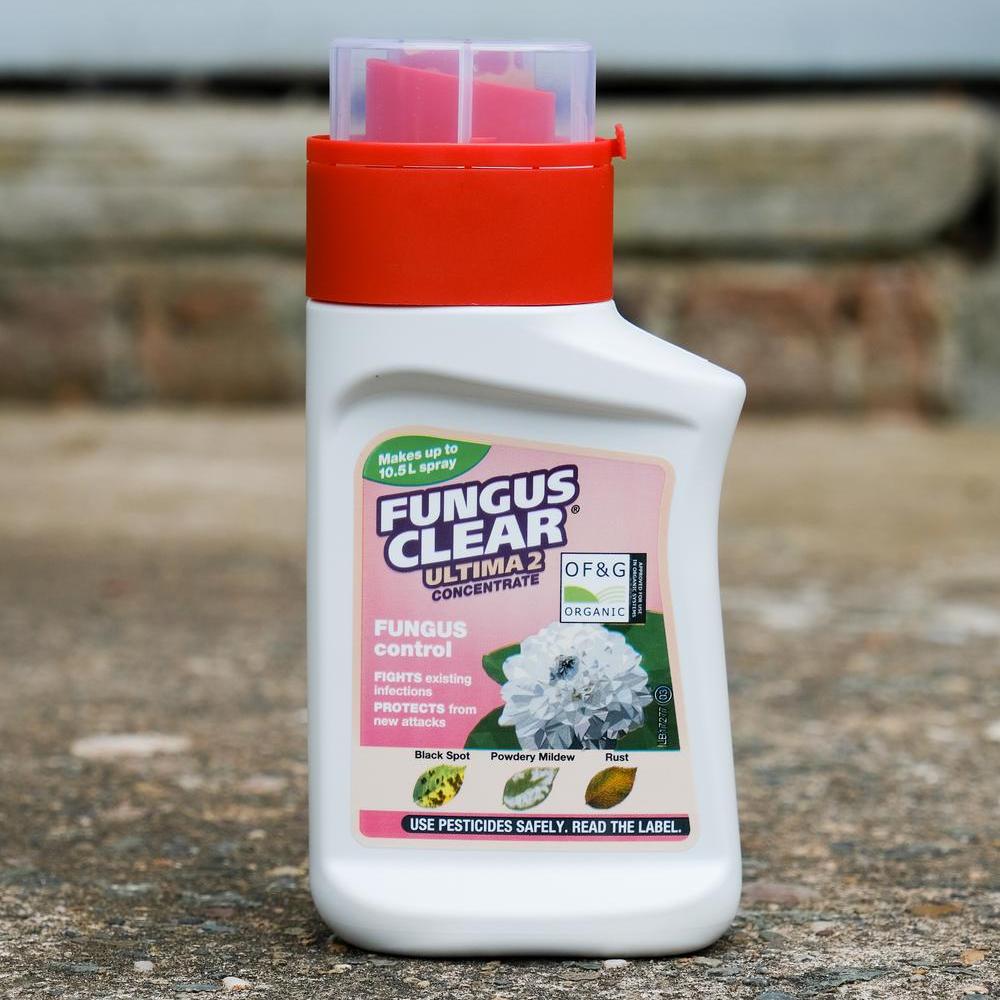 Concentrate Fungus Clear® 2
