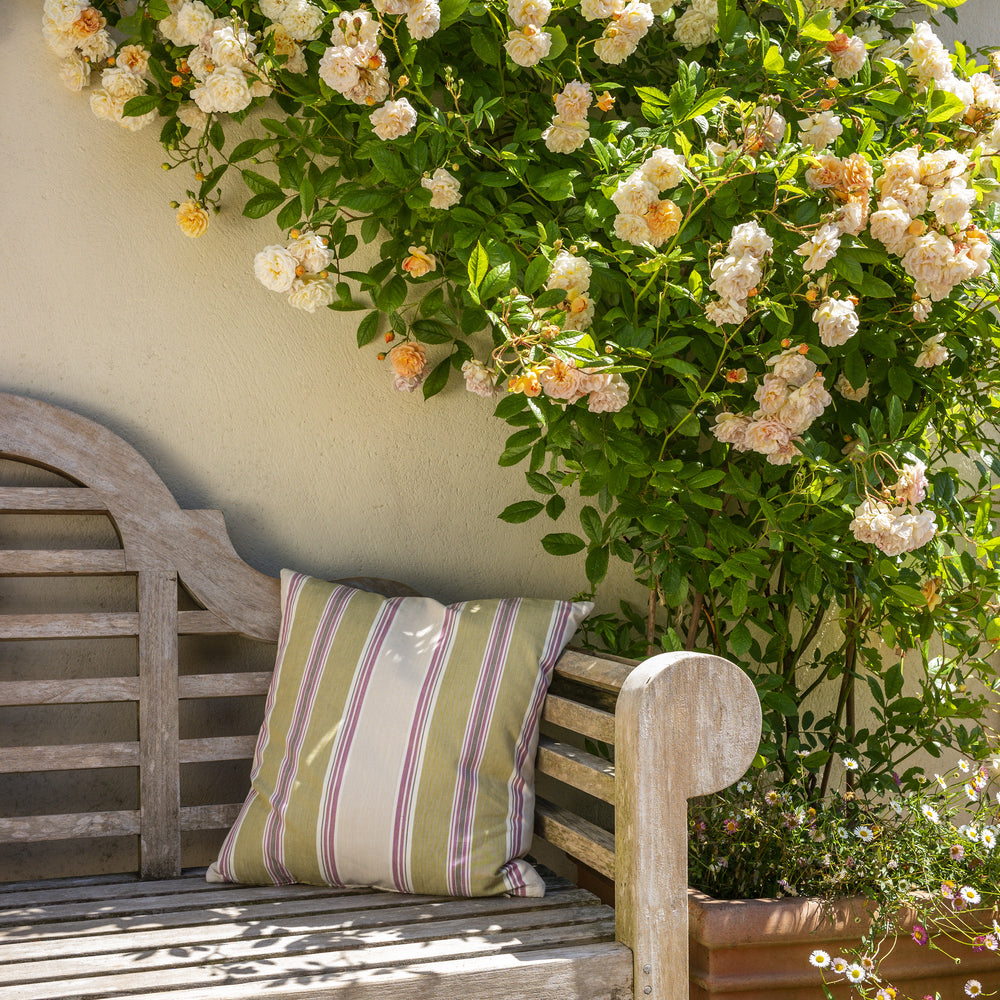 Ghislaine_de_Feligonde rose in a pot by a bench