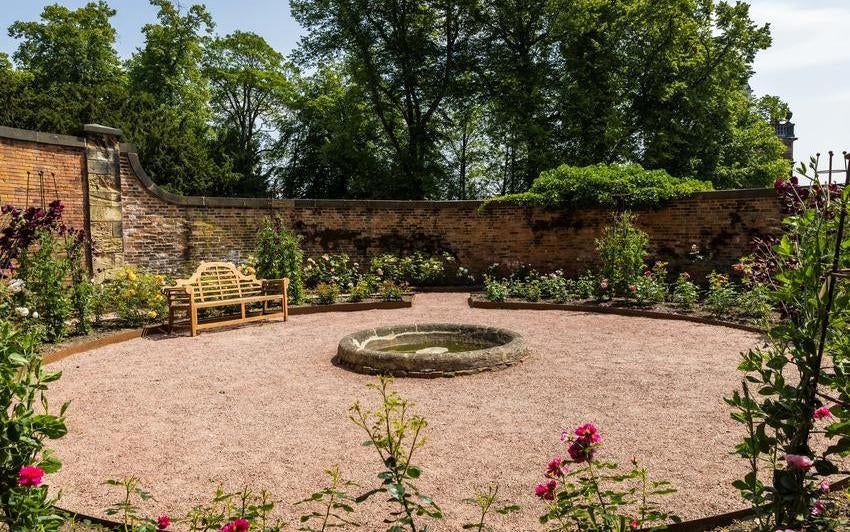 David Austin English roses at Wentworth Woodhouse rose garden