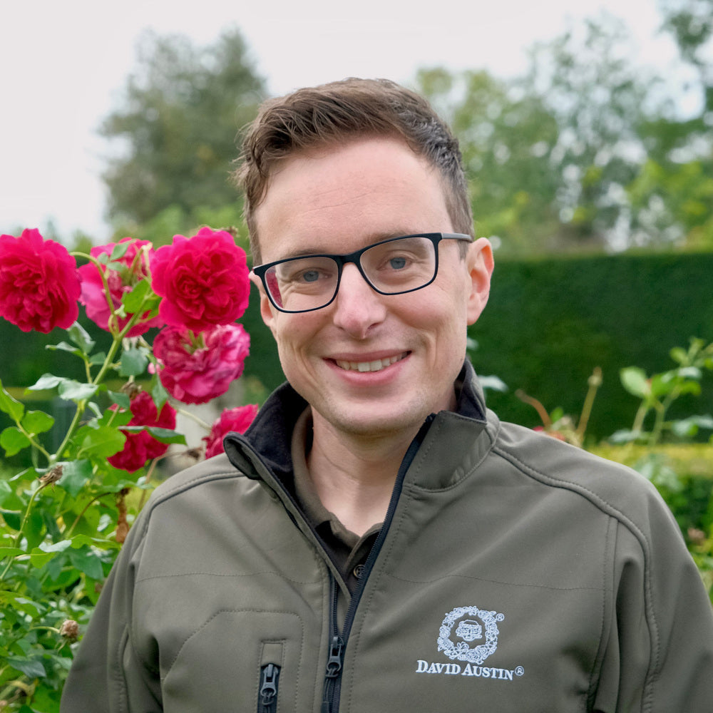 David Austin employee Joe_Sturrock-Spencer