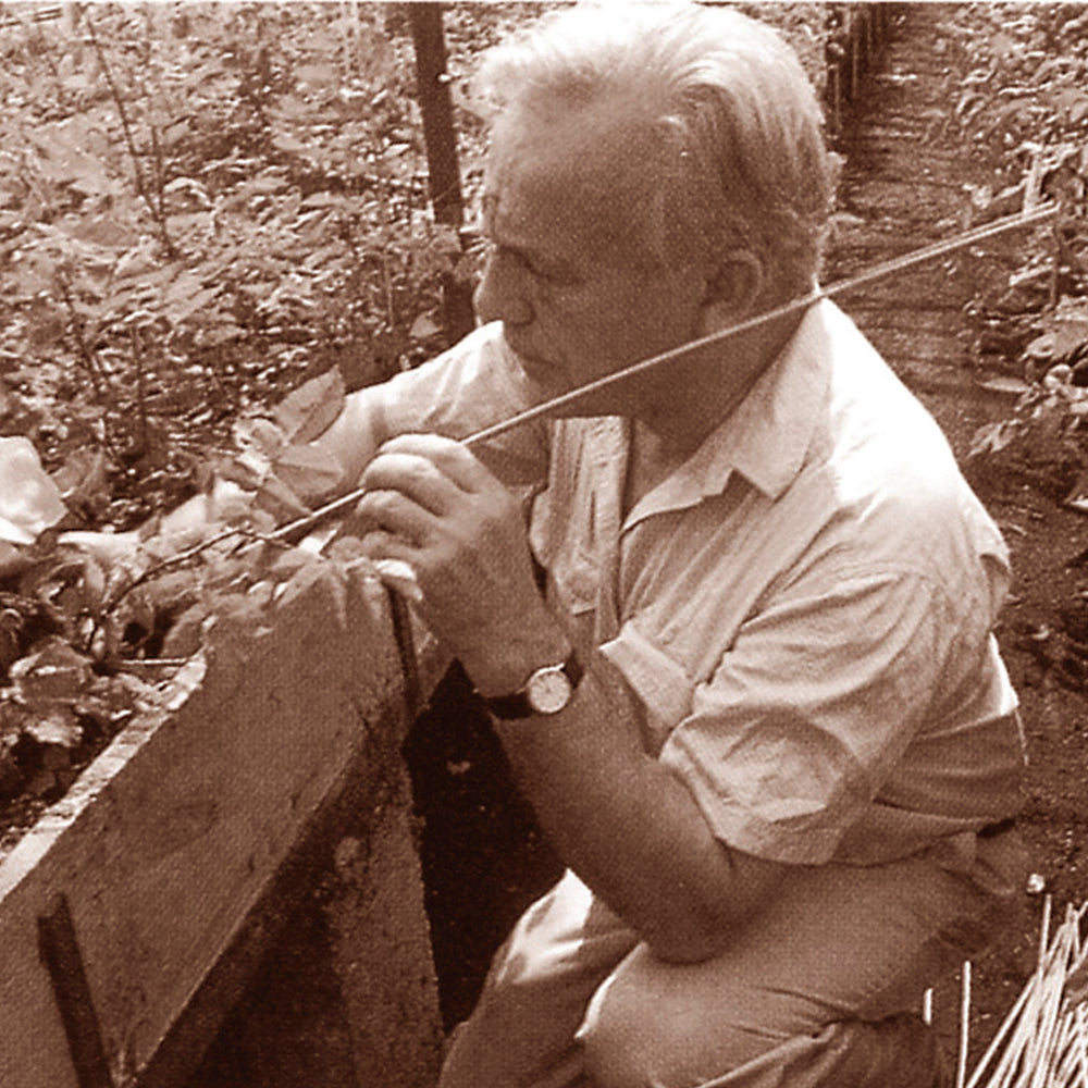 Old image of David Austin in the greenhouses