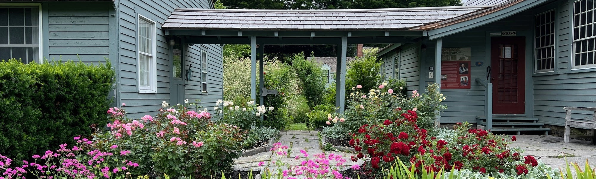 Glebe House Connecticut Rose_Quadrant