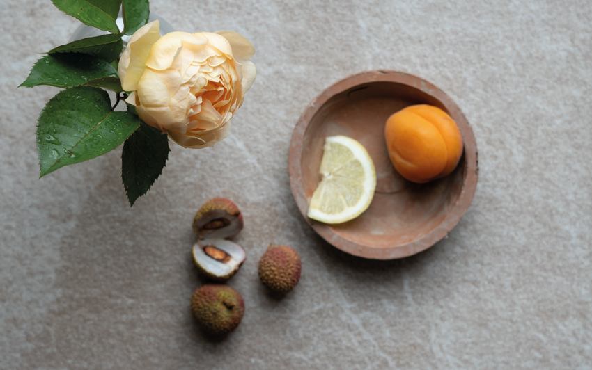 Flat lay image of a rose bred by David Austin, with visual fragrance notes