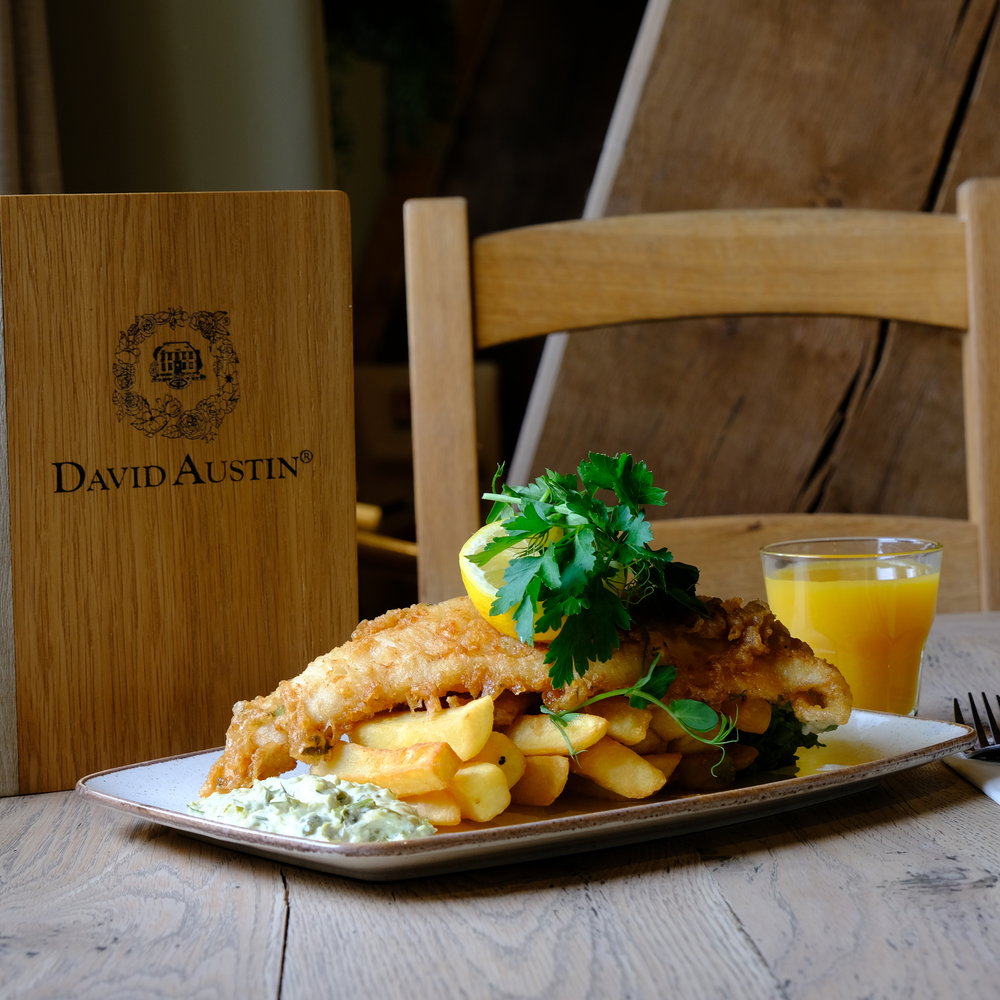 Close up of fish and chips at the David Austin restaurant