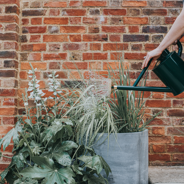 Haws Galvanised Steel Watering Can