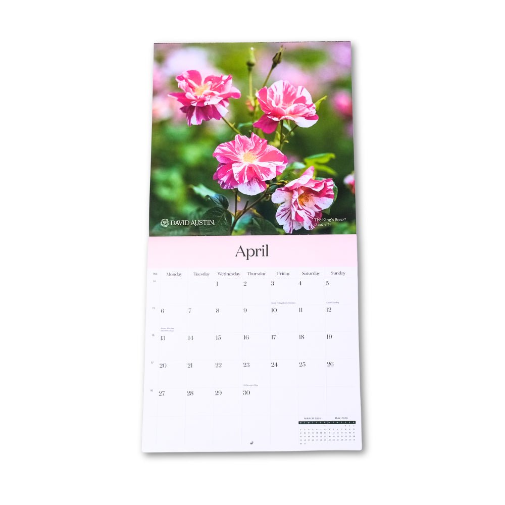 David Austin 2026 Wall Calendar