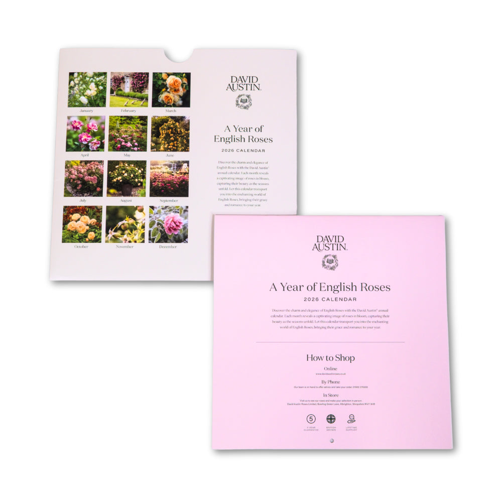 David Austin 2026 Wall Calendar