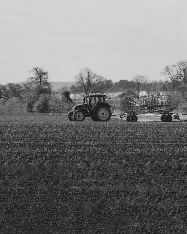 Tractor in a field with David Austin roses