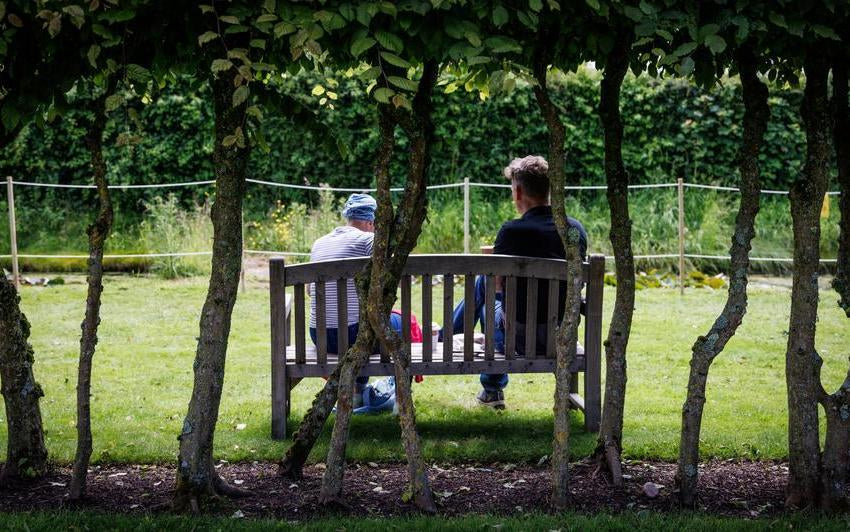 David Austin® Roses Donates £10,000 To Support The National Garden Scheme