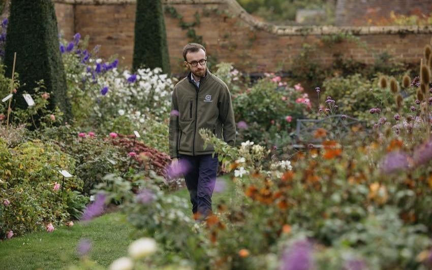 Liam Beddall, Head Rosarian at David Austin®