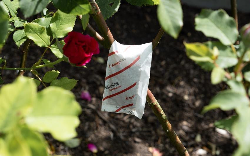 Cultivating Harmony Through Thoughtful Pest Control