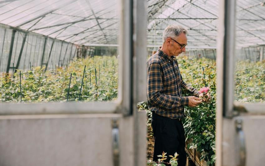 Peat-Free Champions: Why We’re Peat-Free (And How You Can Be Too)