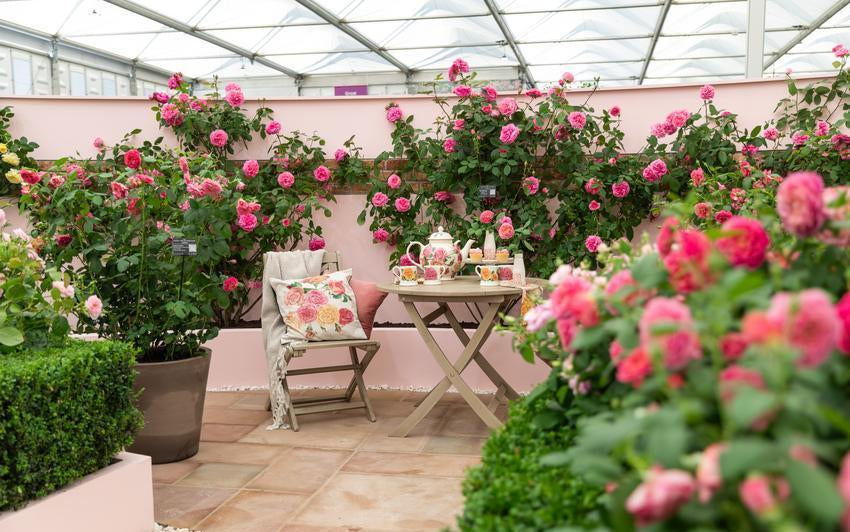 Moments To Remember From RHS Chelsea Flower Show 2024