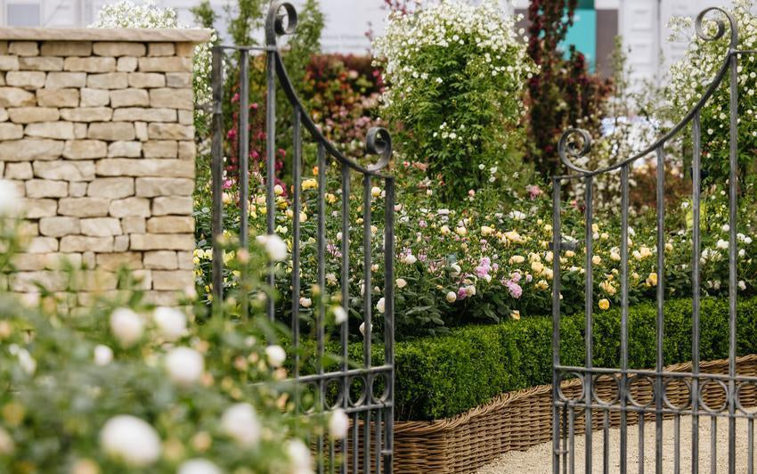 The Cotswold Garden at Chelsea