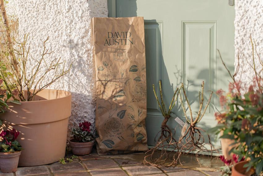The Perfect Gifts for Gardeners this Christmas
