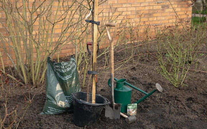Rose Care – Tagged 