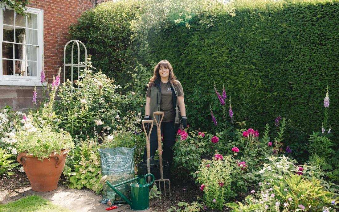 How To Move Your Rose