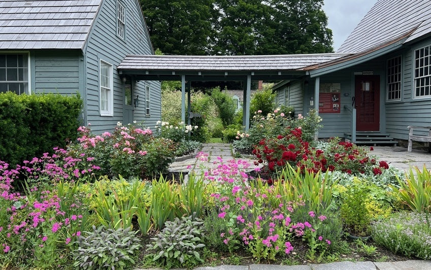 Glebe House Connecticut Rose_Quadrant