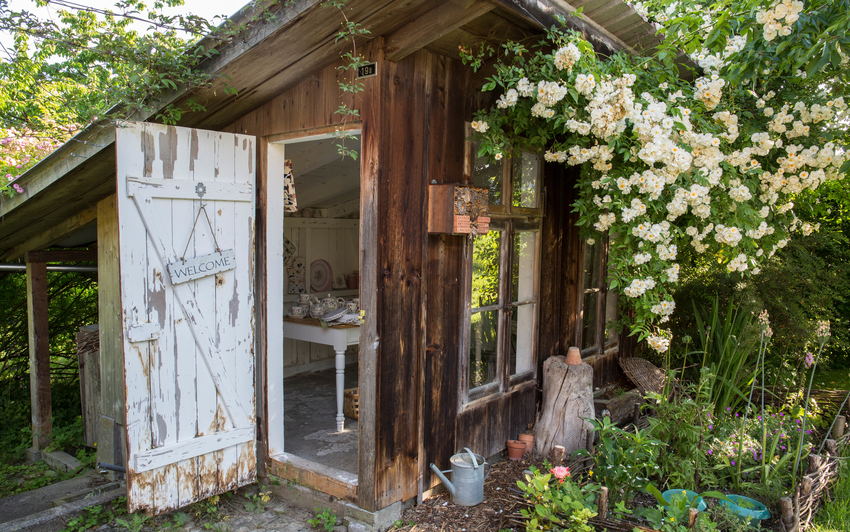 Plant Roses on Large Structures