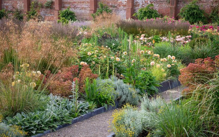Top Companion Plants To Pair With English Roses For Winter Interest