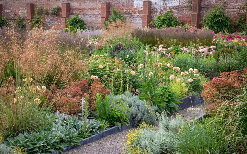 What to Plant with English Roses for Autumn Colour