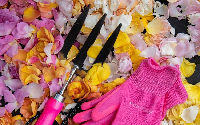 A Second Life: Petals donated from RHS Hampton Court Flower Show to Confetti Club London